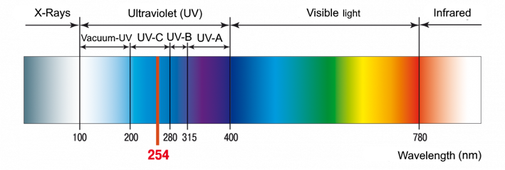The electromagnetic spectrum (UV and Visible light)